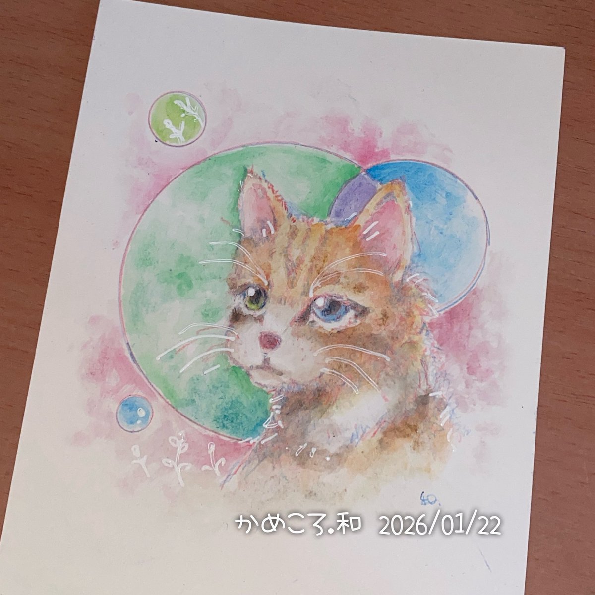 かめころ・ちびかめ (@koro_nagi) on X