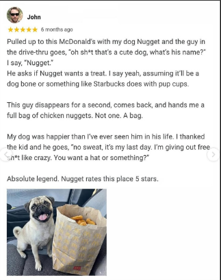 Yumps_Cabal's tweet photo. This instagram post of a dog named "Nugget" getting given chicken nuggets is going absolutely viral on instagram with 1+ million likes in 1 day

Over 10 million+ views

The dog is super memeable and is the perfect animal runner the trenches have been waiting for

https://t.co/zgoCrIZepv