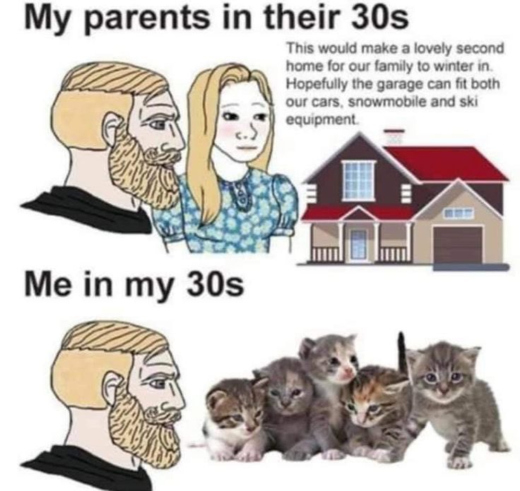 NoCatsNoLife_m's tweet photo. https://t.co/L67NojbenV