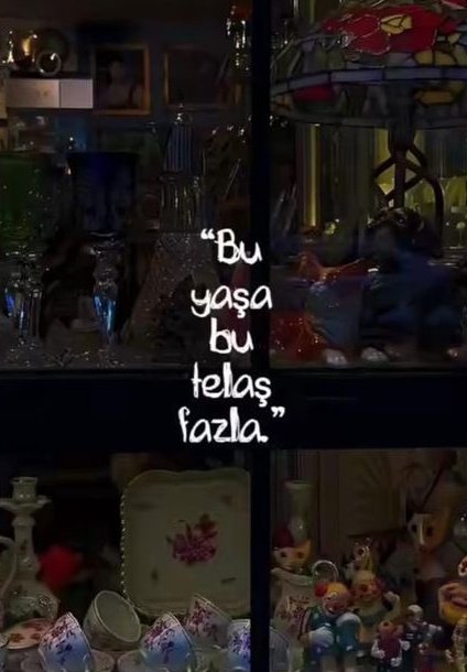 Bu yaşa
bu telaş
fazla.