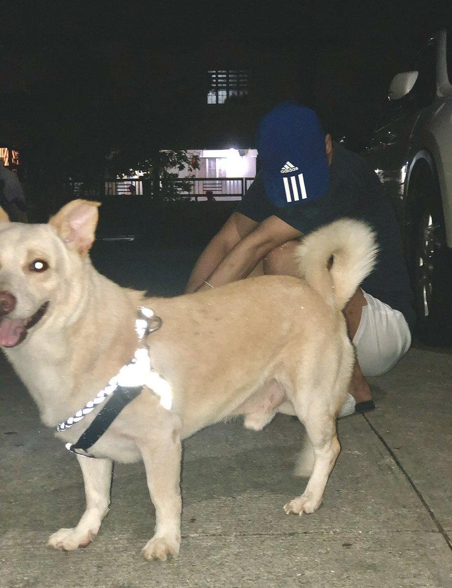 Dewy_DoNot's tweet photo. I miss you more than words can say. Run free🤍 https://t.co/HVti3fHrzQ