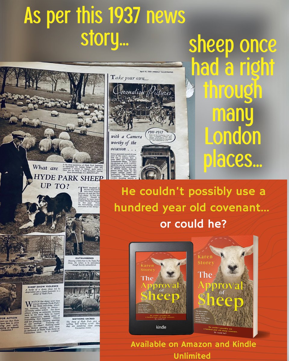 Looking for a fun #uplit read? How about  a guy down on his luck discovering an old Right to run sheep through a top London hotel? 

Inspired by a real covenant

⭐️⭐️⭐️⭐️⭐️
‘A charming, whimsical, quirky delight’

⭐️⭐️⭐️⭐️⭐️
‘Inspirational &amp; uplifting’

amazon.co.uk/Approval-Sheep…