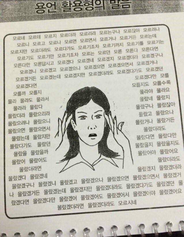niragi_'s tweet photo. Hi https://t.co/EErSyoYafT