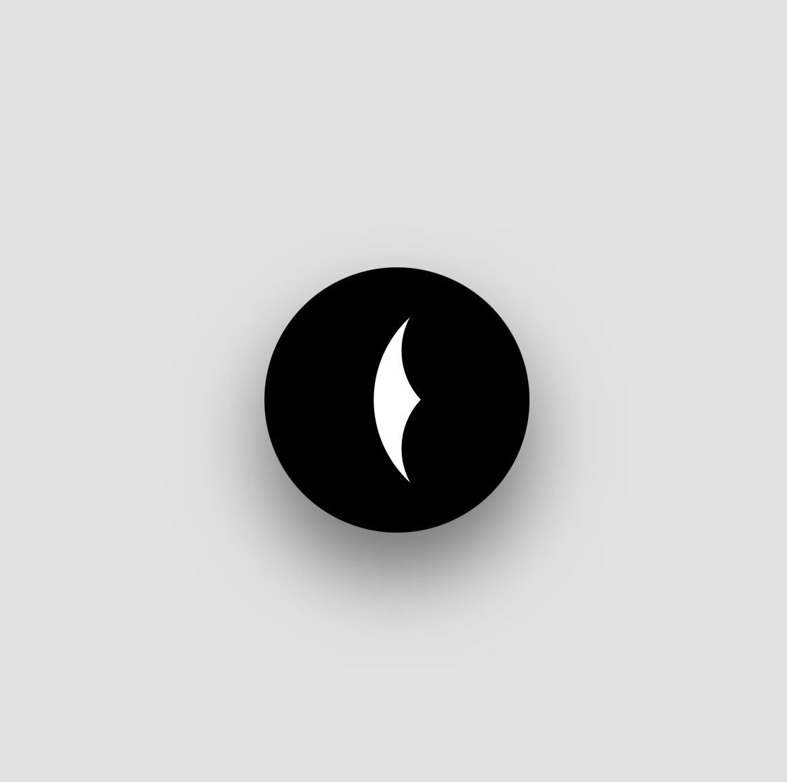 BlackbirD tweet media
