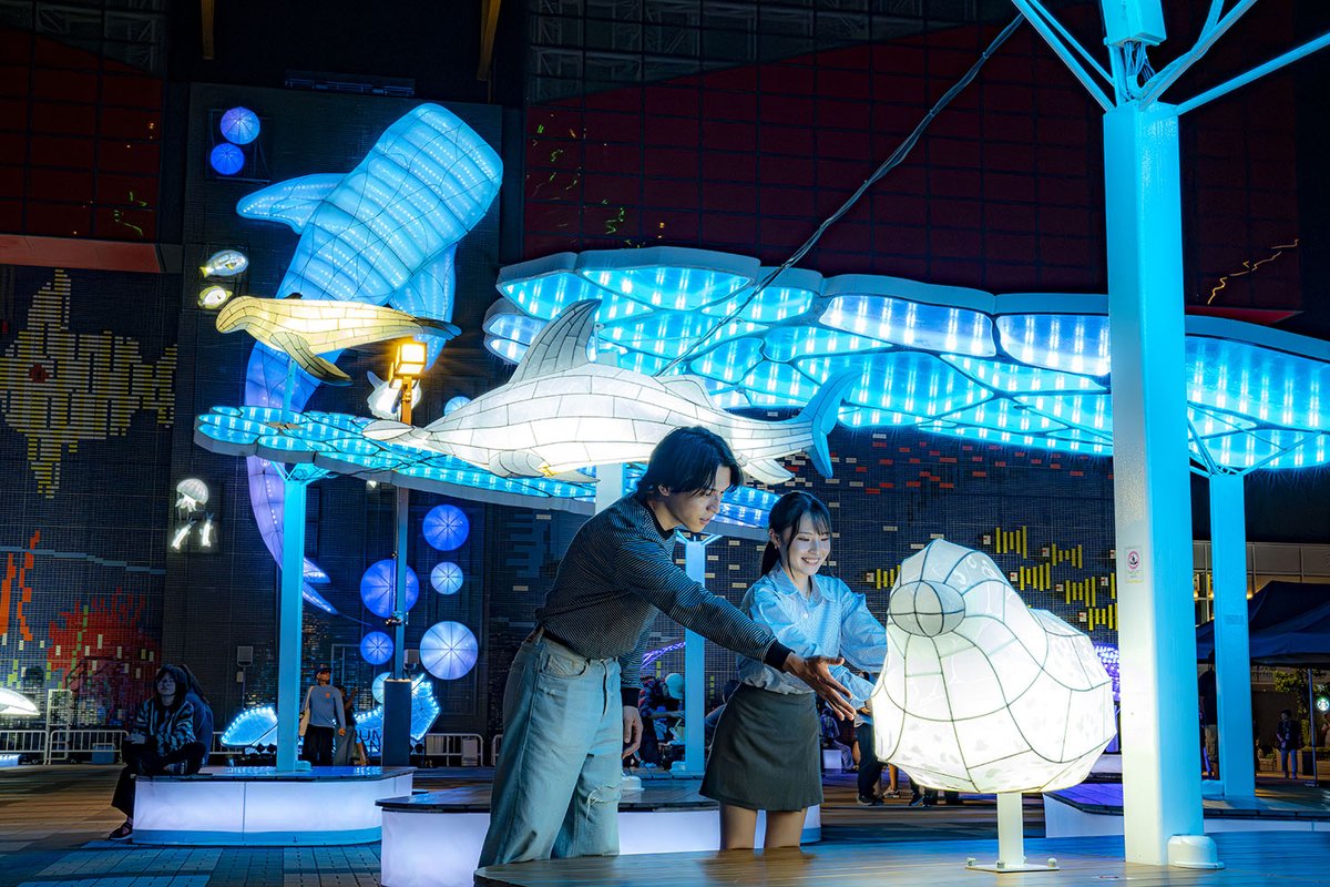 冬の夜を彩る、光と音の幻想空間✨ 🫧海遊館イルミネーション2025