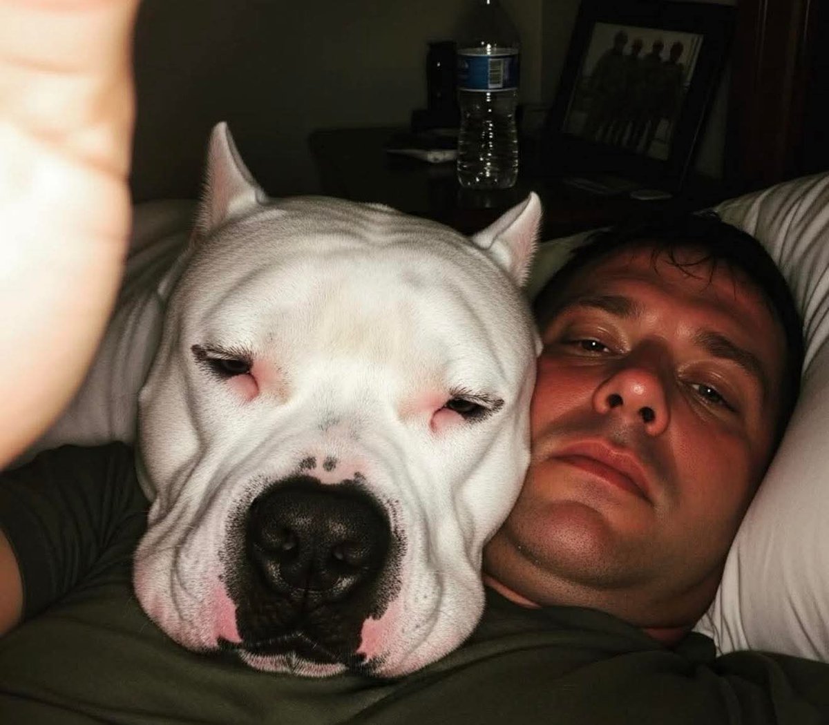 Crazy Vibes tweet media