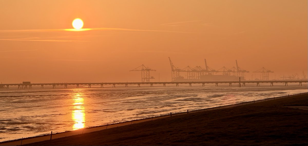 Malte Kirchner  tweet media