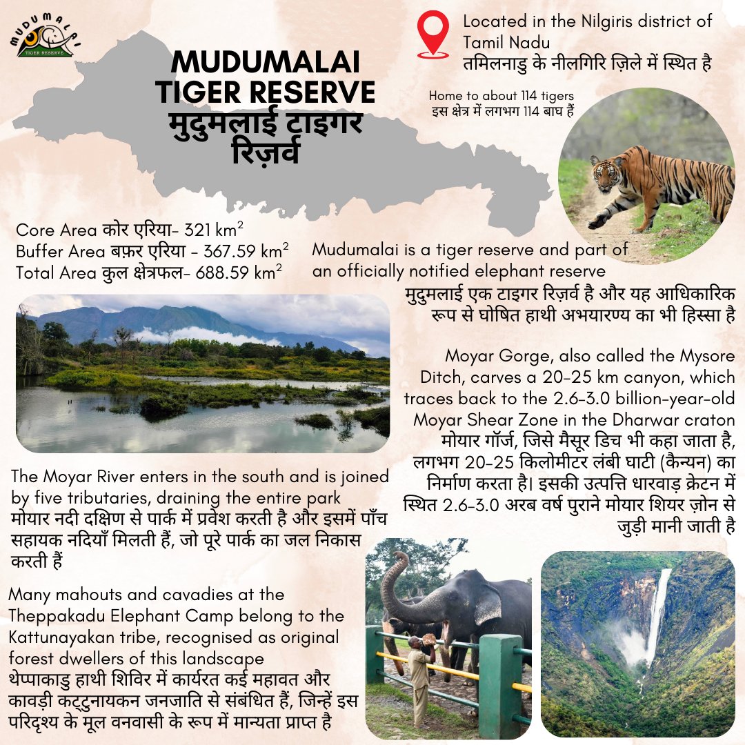 ntca_india's tweet photo. ✨Mudumalai Tiger Reserve✨, brought under Project Tiger in 2007 (with the protected area originally notified as Mudumalai Wildlife Sanctuary in 1940), derives its name from the Tamil words mudhu (ancient) and malai (hill), and is constituted around Mudumalai National Park and adjoining buffer forests at the tri-junction of Tamil Nadu, Karnataka and Kerala. The reserve protects a classic Western Ghats–Nilgiri landscape of tropical dry and moist deciduous forests, semi-evergreen patches, riparian corridors and open grasslands, supporting very high herbivore and predator densities. The area is home to indigenous communities including Toda, Kurumba, Kattunayakan and Irula tribes.

✨मुदुमलाई टाइगर रिज़र्व✨, जिसे 2007 में प्रोजेक्ट टाइगर के अंतर्गत शामिल किया गया (जबकि इस संरक्षित क्षेत्र को मूल रूप से 1940 में मुदुमलाई वन्यजीव अभयारण्य घोषित किया गया था), अपना नाम तमिल शब्दों ‘मुधु’ (प्राचीन) और ‘मलै’ (पहाड़ी) से प्राप्त करता है। यह रिज़र्व तमिलनाडु, कर्नाटक और केरल की त्रि-सीमा पर स्थित मुदुमलाई राष्ट्रीय उद्यान और उसके आसपास के बफ़र वनों को मिलाकर गठित किया गया है। यह रिज़र्व पश्चिमी घाट–नीलगिरि परिदृश्य का एक उत्कृष्ट उदाहरण है, जहाँ उष्णकटिबंधीय शुष्क और नम पर्णपाती वन, अर्ध-सदाबहार वन के छोटे क्षेत्र, नदी किनारे के गलियारे और खुले घास के मैदान पाए जाते हैं। यह विविध परिदृश्य शाकाहारी और मांसाहारी वन्यजीवों की अत्यधिक संख्या को सहारा देता है। यह क्षेत्र तोड़ा, कुरुम्बा, कट्टुनायकन और इरुला जैसी आदिवासी जनजातियों का पारंपरिक निवास स्थल भी है।

@MudumalaiTR @tnforestdept @PMOIndia @moefcc @wii_india @MSTrIPES @PIB_India @EnvironmentPib @IBCA_official @Unitedfortigers