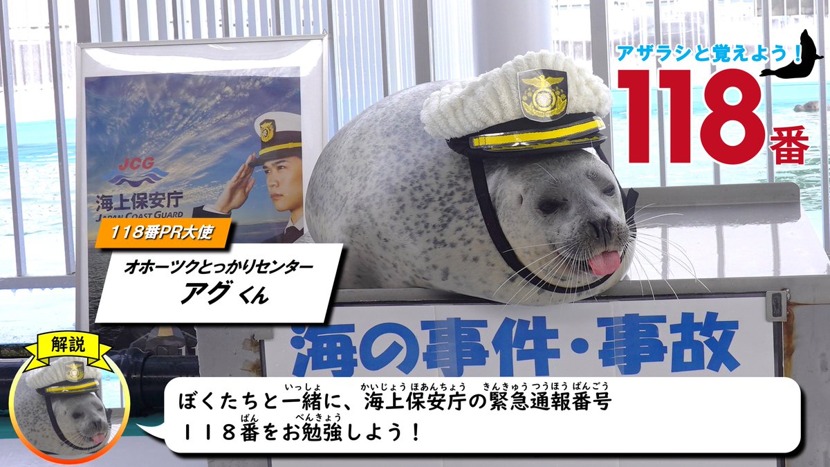 第一管区海上保安本部【公式】 tweet media