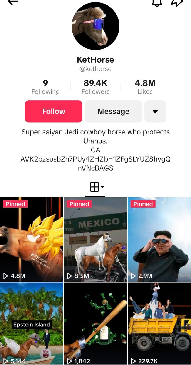 Flying Ketamine Horse tweet media