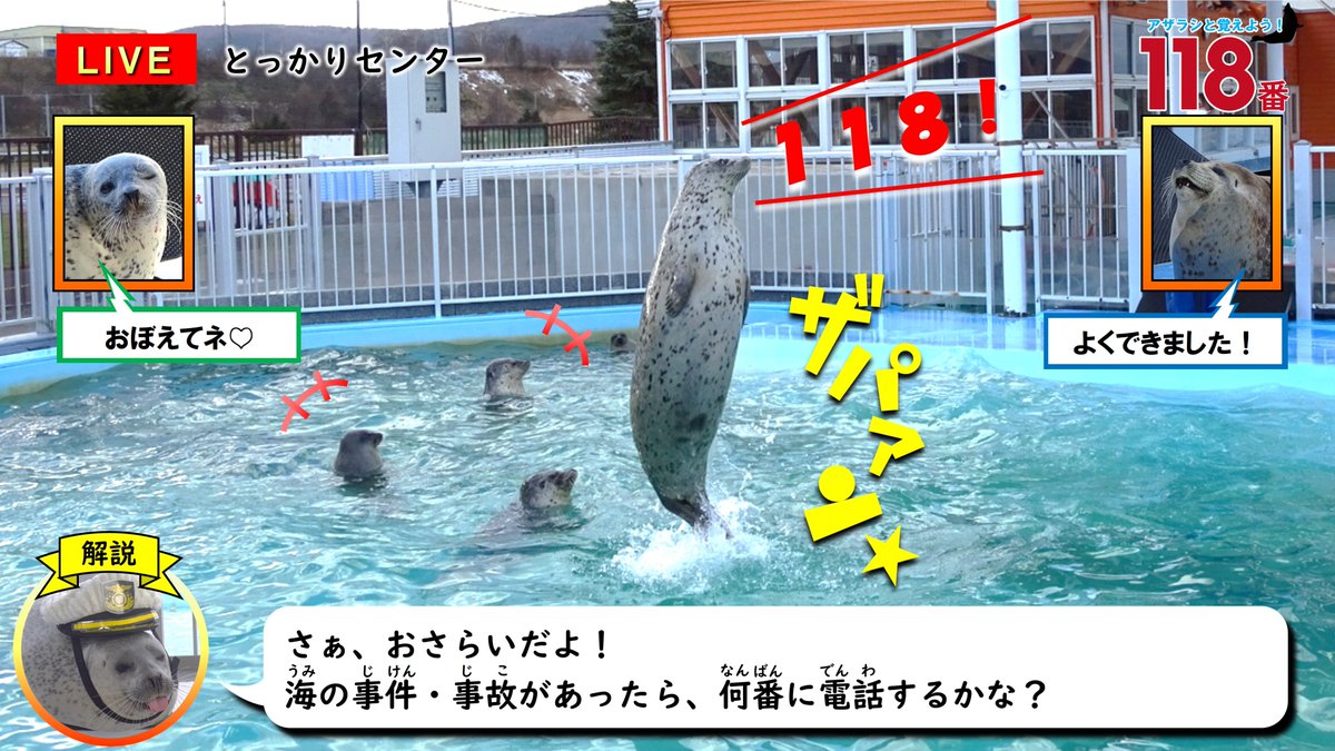 第一管区海上保安本部【公式】 tweet media