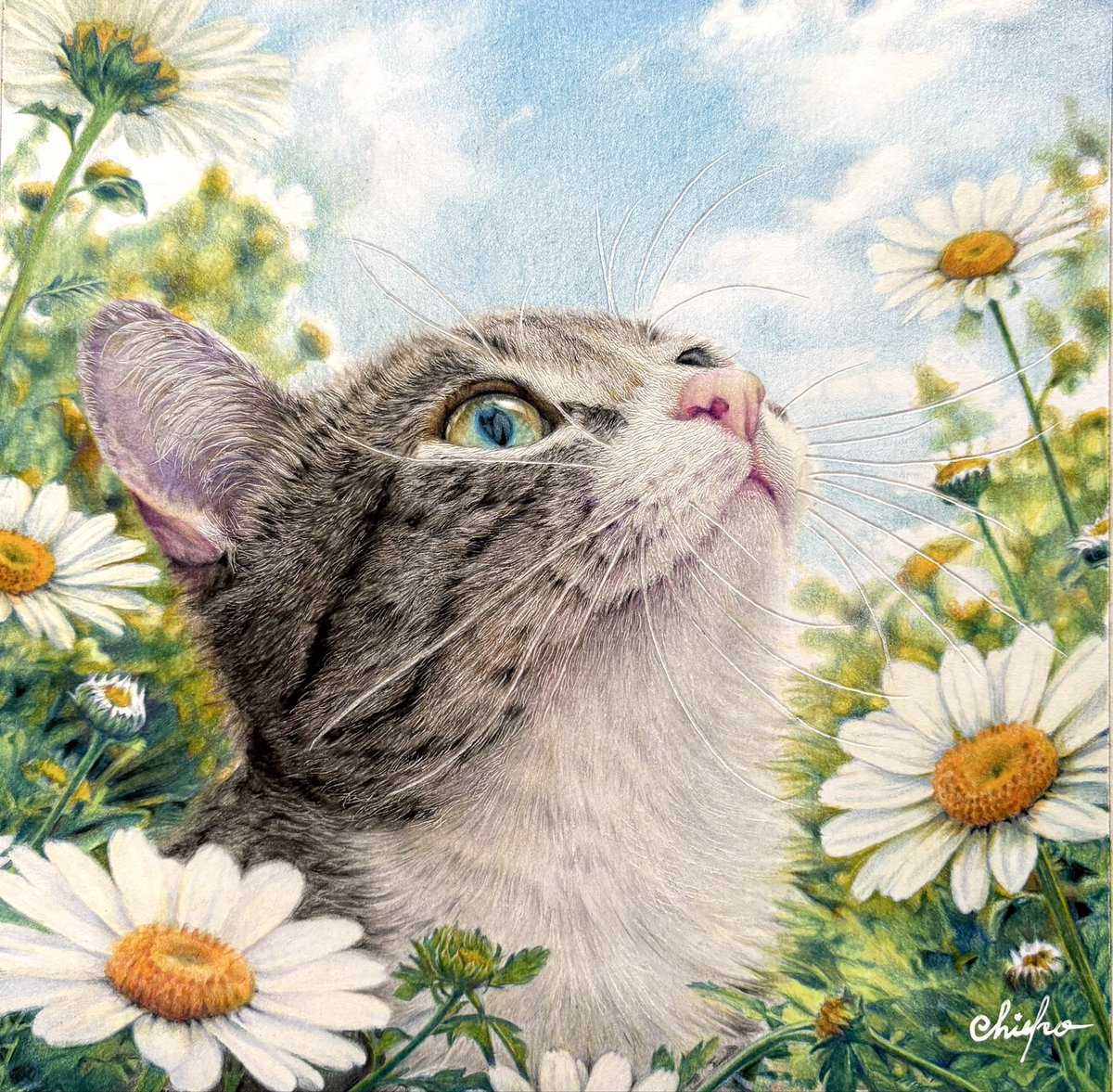 chie_t19690428's tweet image. 色鉛筆で猫ちゃん🐈描きました
#色鉛筆画
#coloredpencildrawing
#猫