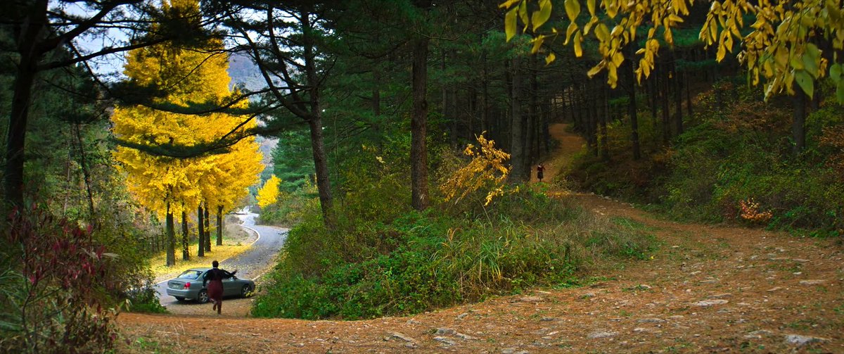 Blockflote's tweet image. No Other Choice: dark comedy peak. La importancia de la narrativa visual mediante la edición y el montaje. Cuando menos lo esperas, el cine te recuerda el maravilloso medio que es.