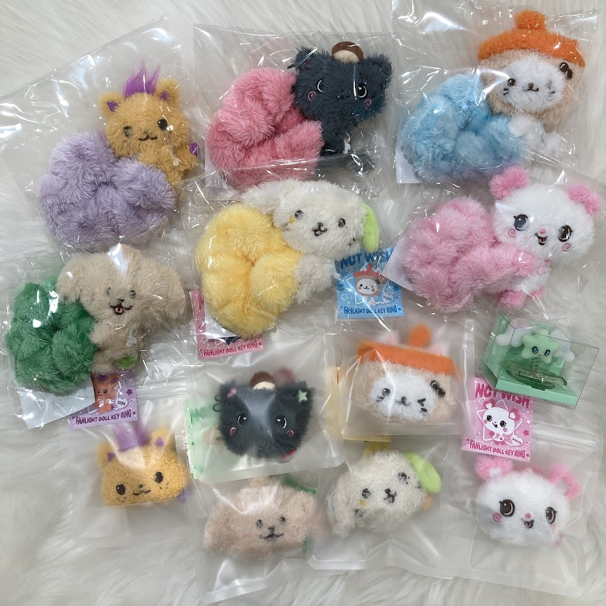 🪽#NCTWISH 新商品情報🪽 NCT WISHさんの 1st CONCERT TOUR 'INTO THE