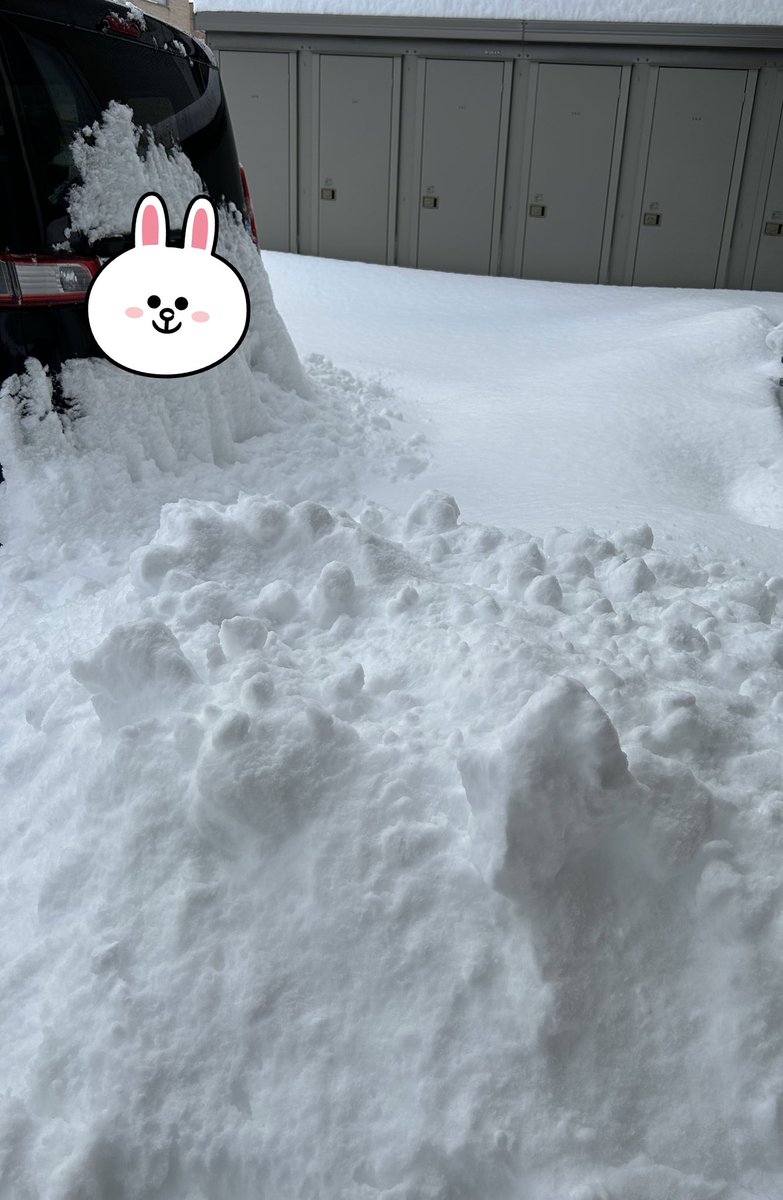雪やばかったよぉ〜⛄️ みなさんのところは大丈夫ですかっ💦 まだ治っ