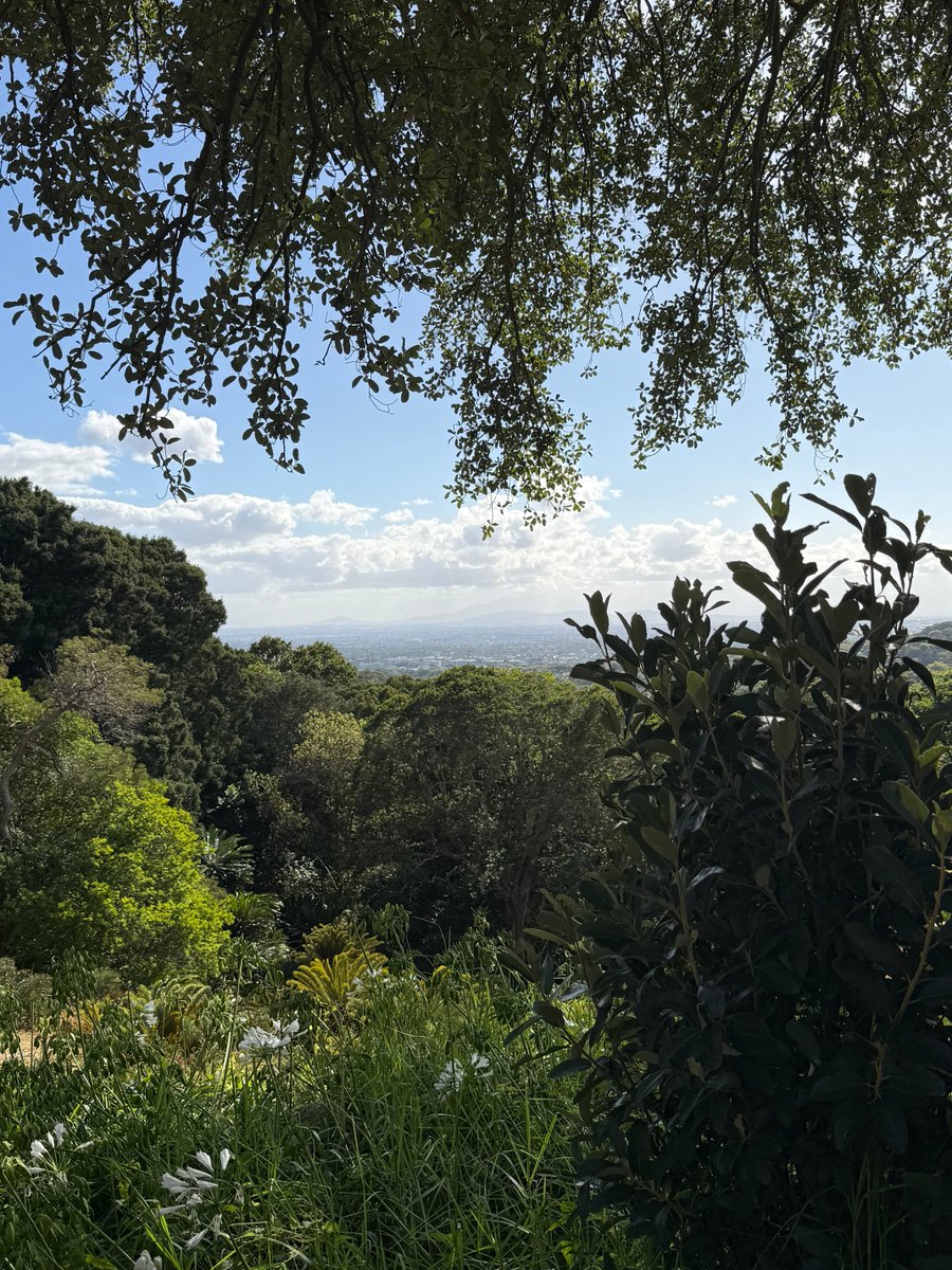 Judy Stevens tweet media