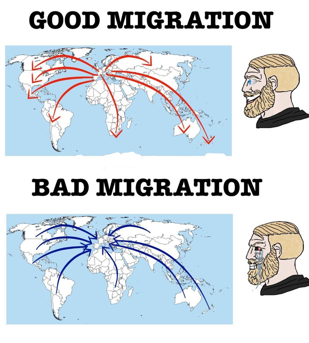 ✦✦✦ 𝙿𝚊𝚖𝚙𝚑𝚕𝚎𝚝𝚜 ✦✦✦ tweet media