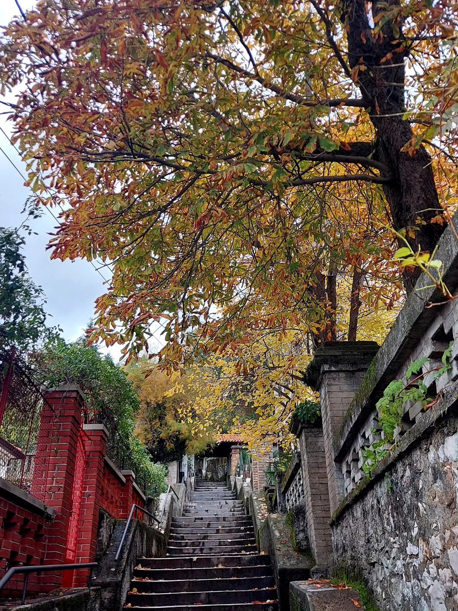 Stube, Noriyasu Kunori #zaljev