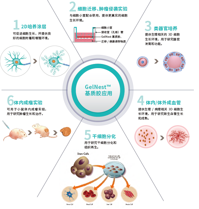 NEST Biotechnology tweet media
