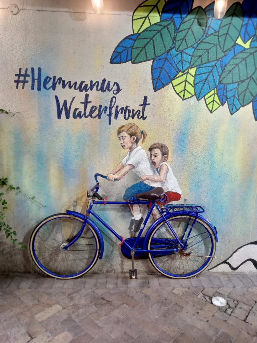 Hermanus Tourism tweet media