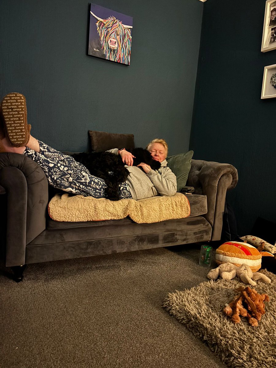 glenrolo's tweet image. Pats is becoming “a super snuggler”