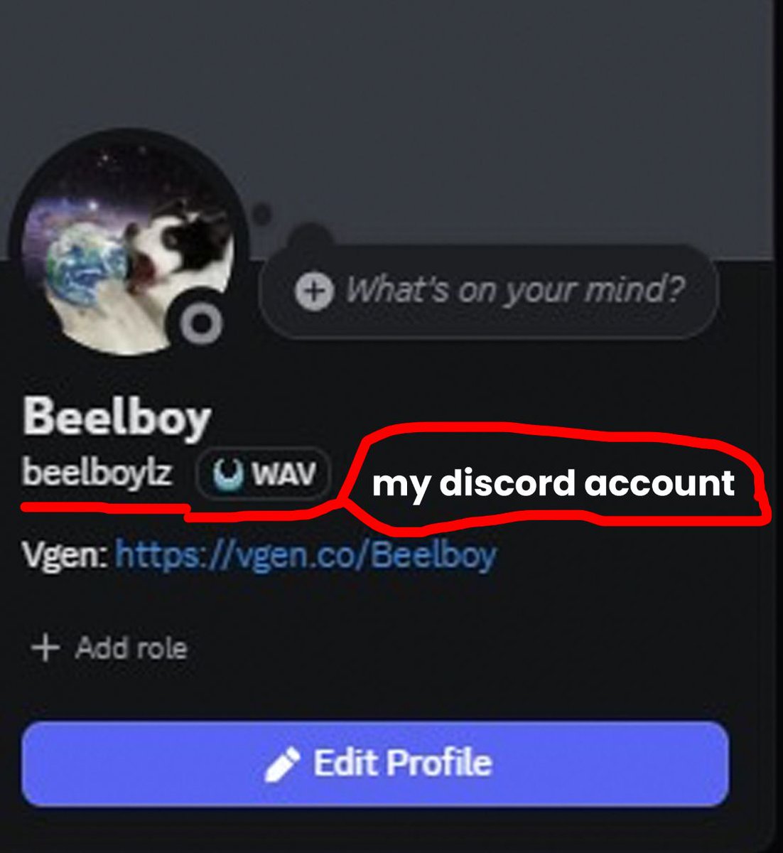 Beelboy || Open Commission tweet media