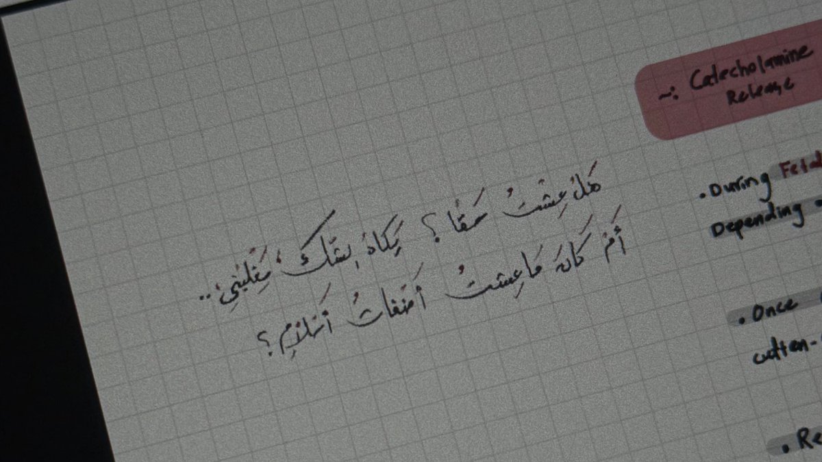 Zahraa.A tweet media