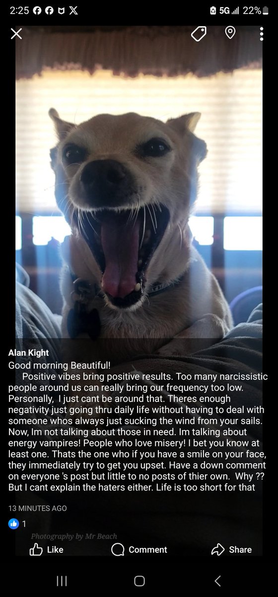 Alan KIGHT tweet media