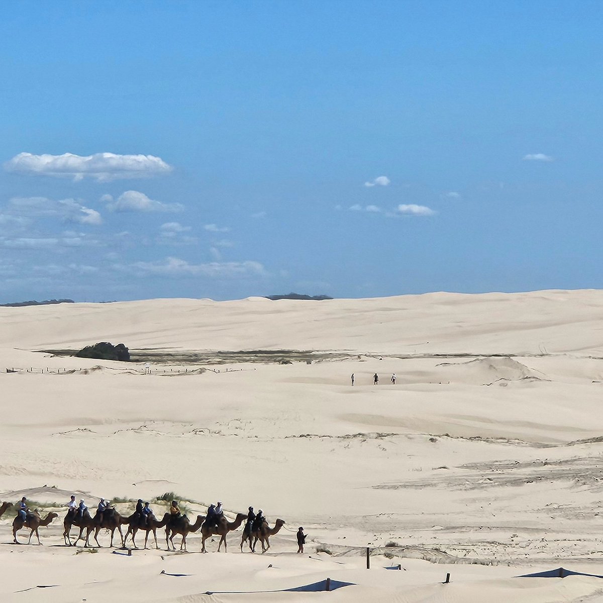 _maeil_'s tweet image. 유일하게 재방문했던 나라는 호주예요 

이민자들이 정착한 나라라 호주 음식이 따로 있는 건 아니지만 아시아 음식점이 많아서 한국인 입맛에도 잘 맞고요 

자연과 도시의 장점을 모두 갖추어서 장거리 비행만 괜찮다면 너무 좋은 나라예요👍