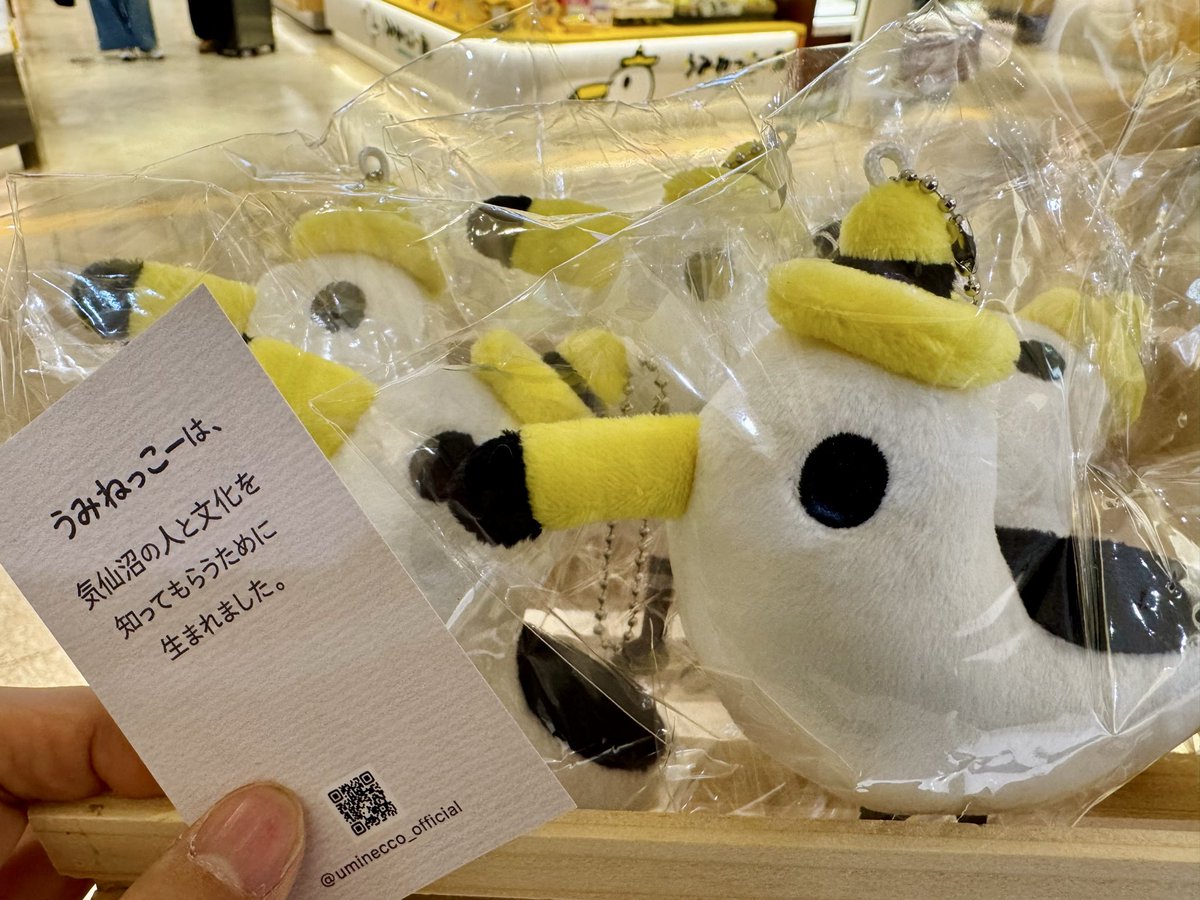 koyamacake's tweet image. 気仙沼から

1月24日（土）