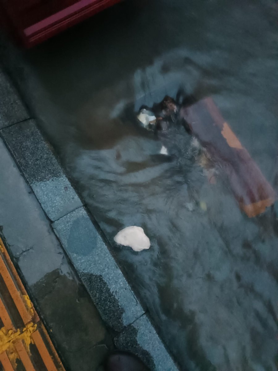 İzmir gene bildiğiniz gibi. Bu kadar sahipsiz başka il var mı acaba? Meteroloji uzmanları 1 haftadır yağmurun geleceğini ve şiddetli olacağını söylediği halde mazgallar temizlenmedi her yer göl oldu.

Çok mu zor mazgalları temizlemek <a href="/izmirbld/">İzmir Büyükşehir Belediyesi</a> ? 

Lağım kokusu da cabası!
