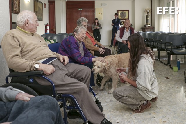 EFE Noticias tweet media