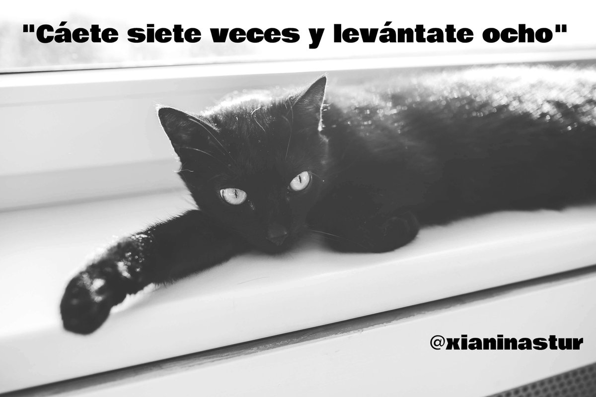 Frase del día  "Cáete siete veces y levántate ocho" 

👉  buff.ly/ev66NBz

#Citas #Quotes #Motivación