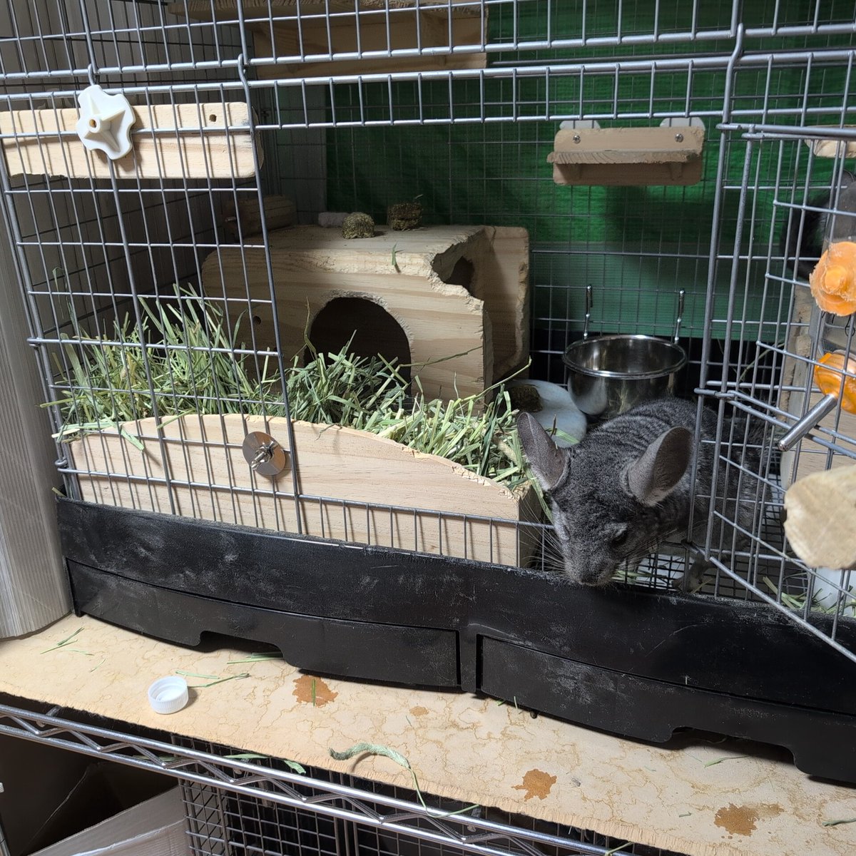 はなげさん tweet media