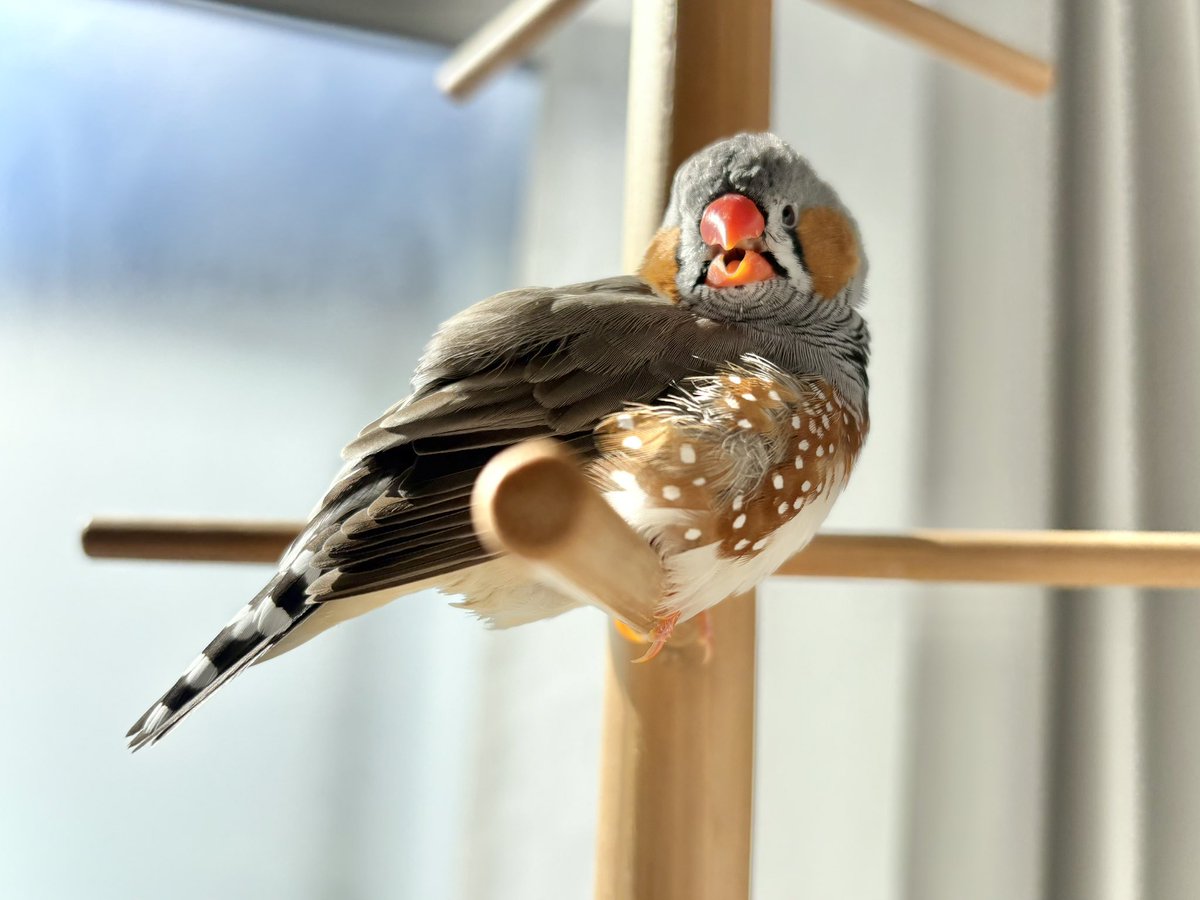 ひなたぼっこ気持ちいいねえ