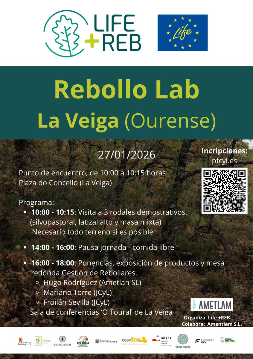 LifeRebollo tweet media