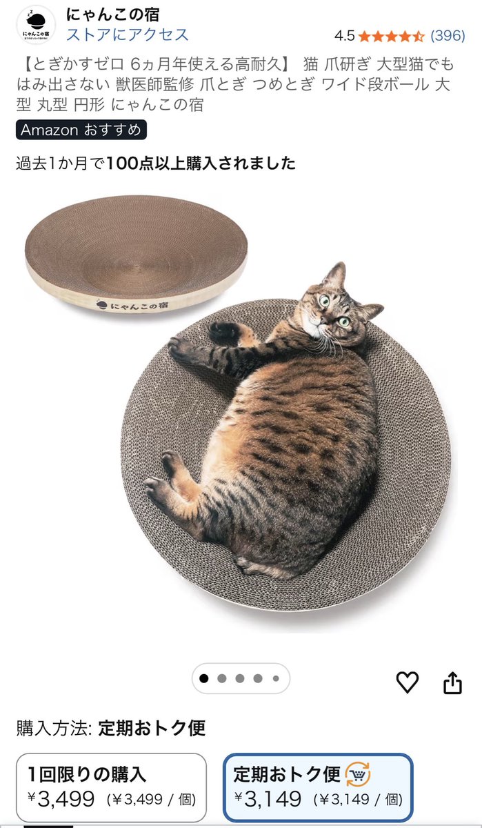 朔ちゃん@猫アレルギーな飼い主 (@sakusaku__cat) / Posts / X