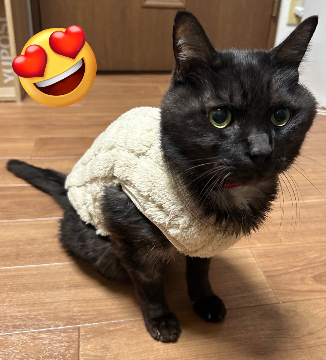 心臓病の影響で低体温ぎみなのでお洋服もひとつ手かもしれないですね、と言われたのでさっそく買ってみたけど……可愛すぎちゃったな…これは…