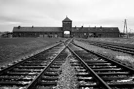 Antoni Gelonch tweet media