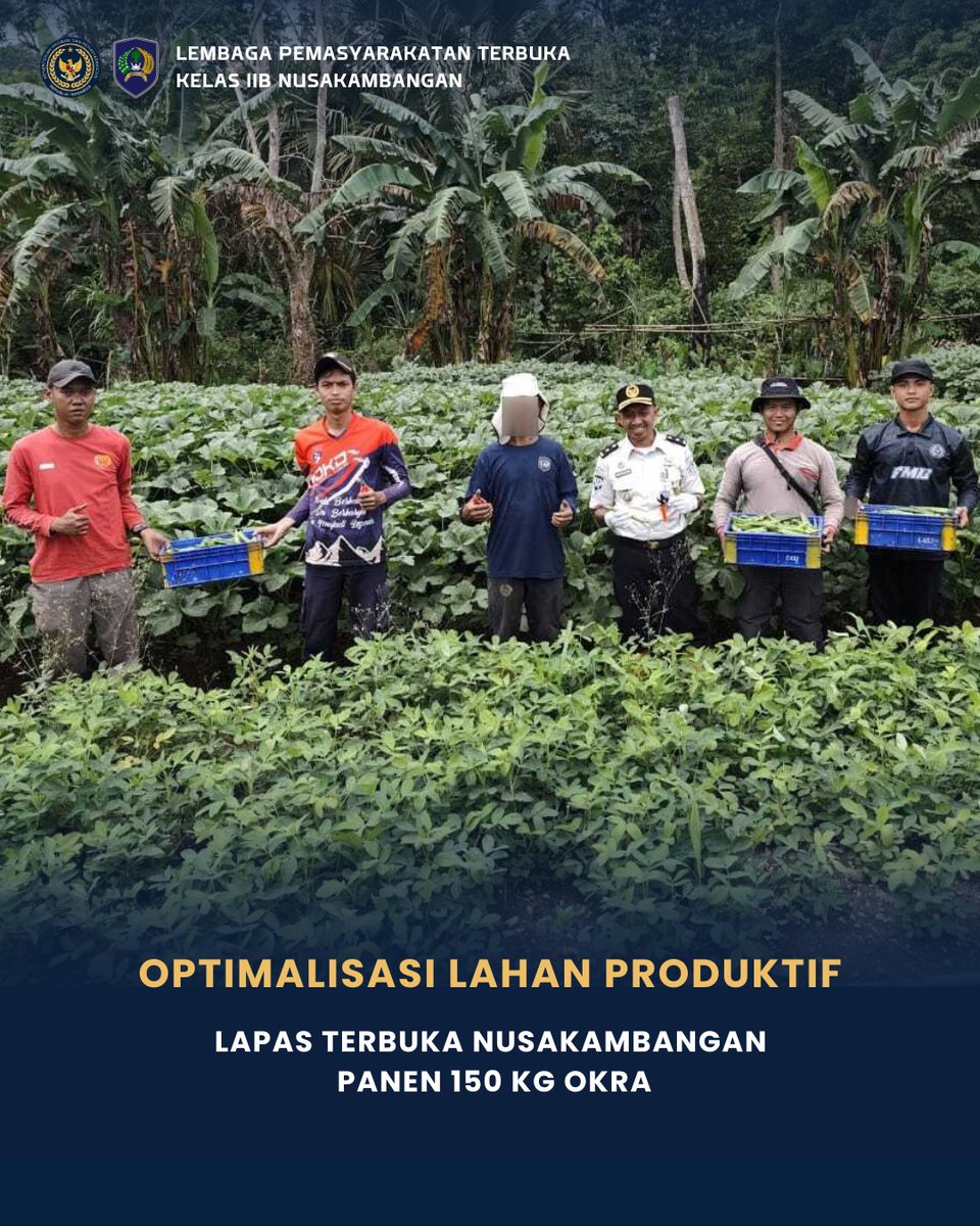 lapstrinuka's tweet photo. Optimalisasi Lahan Produktif, Lapas Terbuka Nusakambangan Panen 150 Kg Okra

#kemenimipas #ditjenpas #pemasyarakatanjateng #lapasterbukanusakambangan https://t.co/MUKAsXx30W