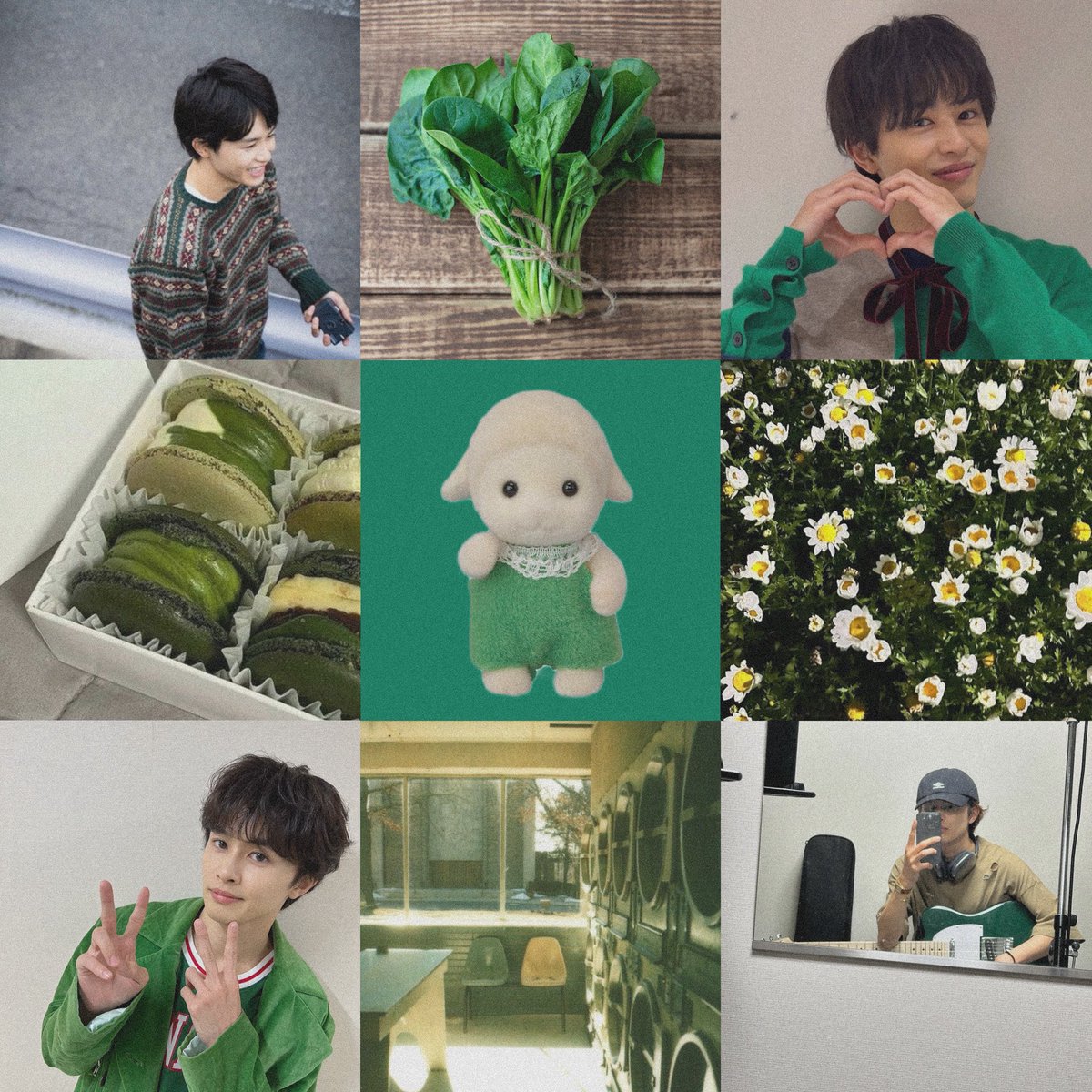 🌱 tweet media