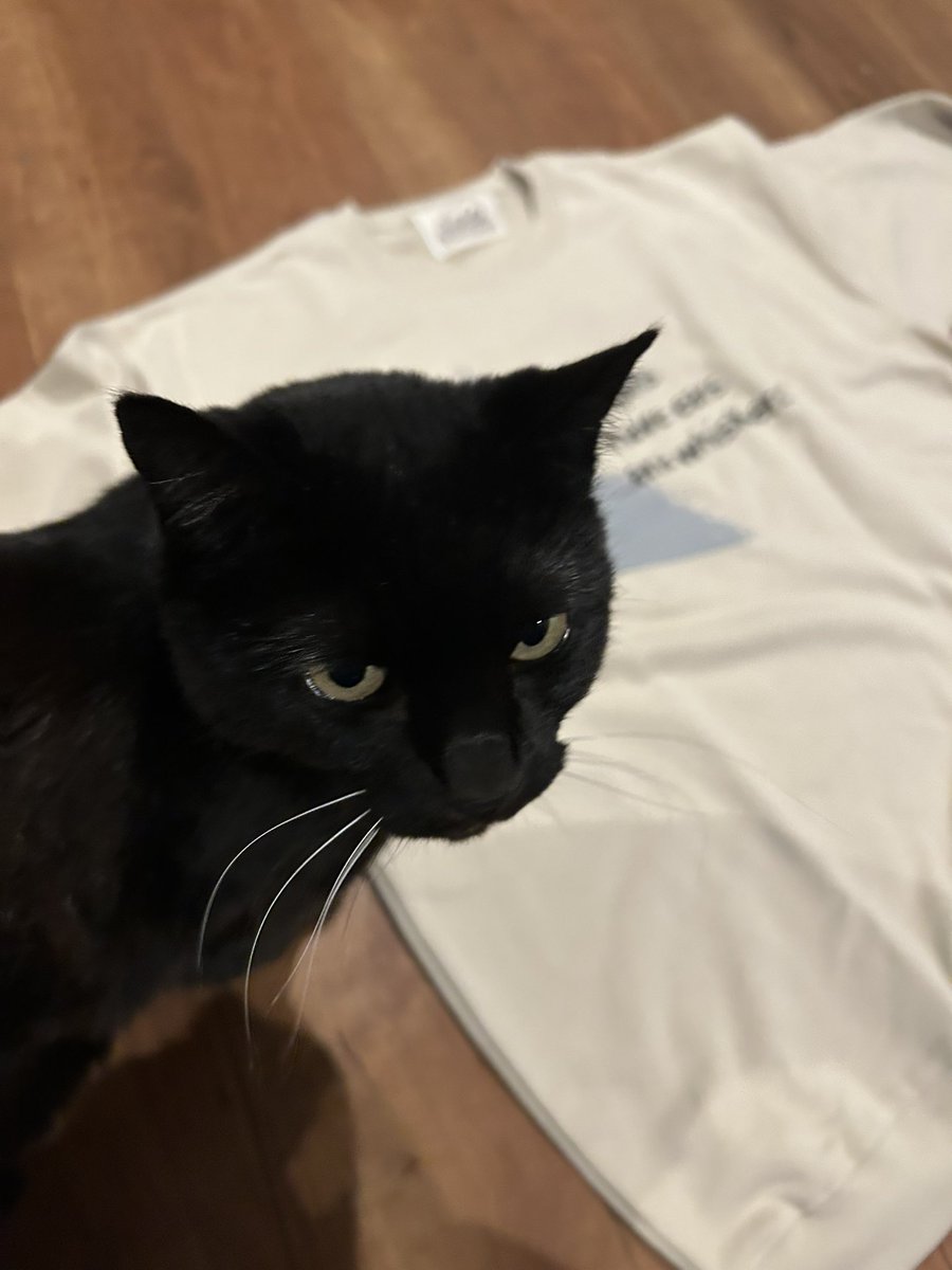 ⭐︎キムさん⭐︎ この顔が世界一好き🫶🏻 この花とさぁひょんじんちゃんが最高似合い