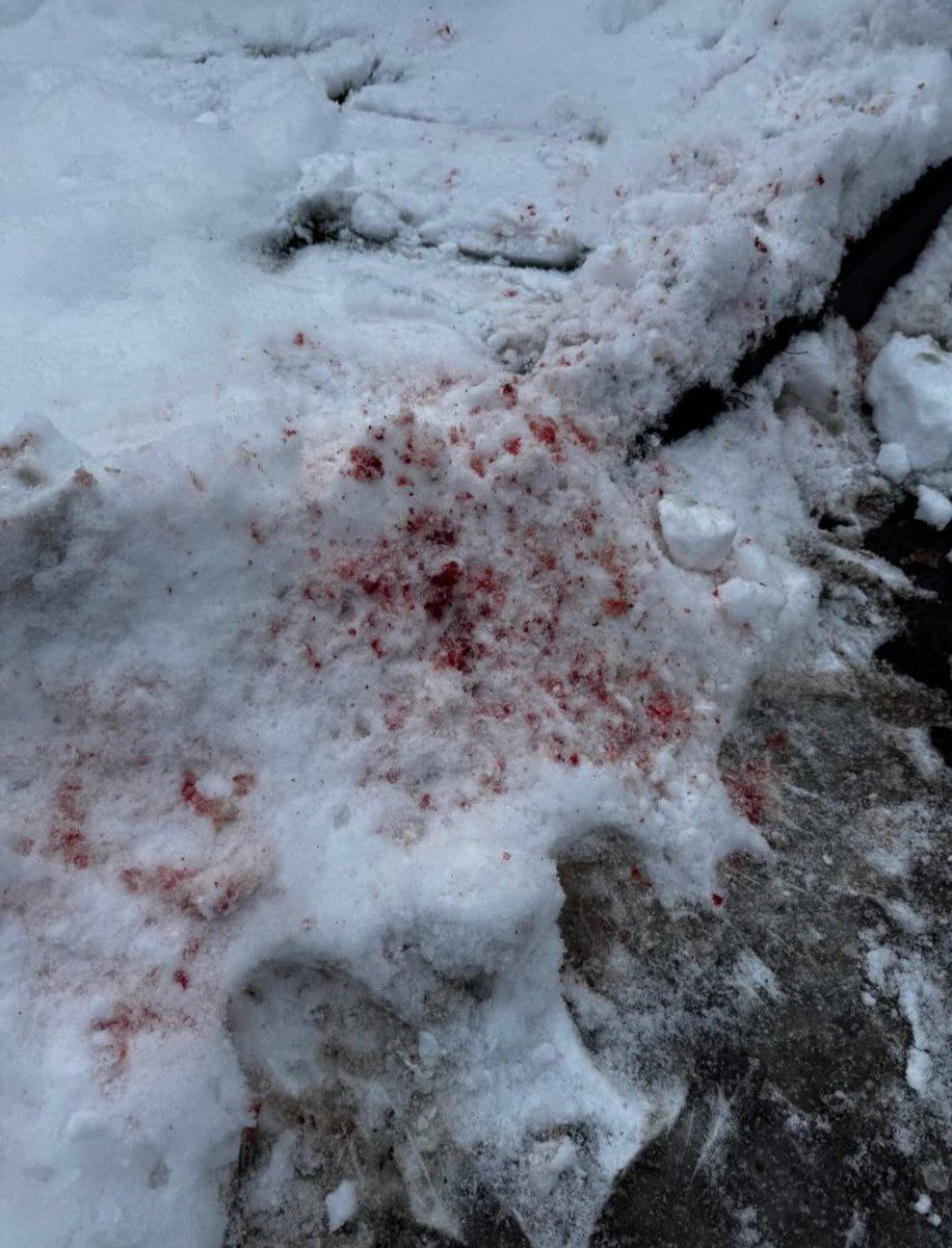 В Ульяновске абу-бандит избил пожилого мужчину из-за парковки.

Конфликт вокруг въезда во двор закончился нападением на пожилого жителя. Сосед регулярно перекрывал проезд, а обращения в полицию и администрацию игнорировались.

После штрафа в ГИБДД абу-бадит завалил ворота снегом.