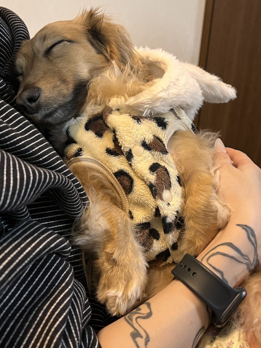 Miu (@___chanoto___) / Posts / X