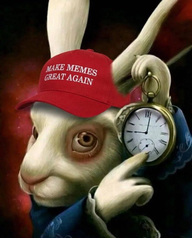 hq tweet media