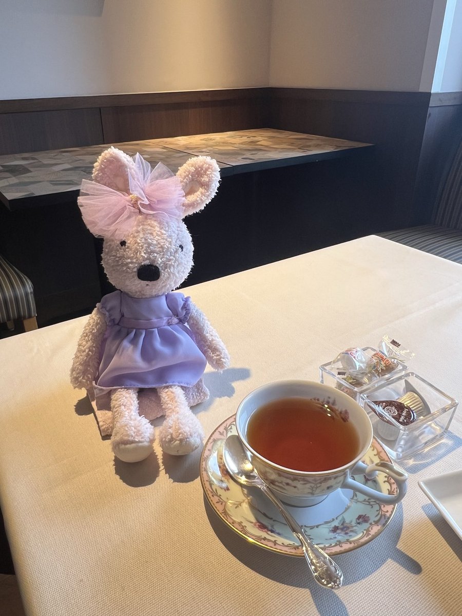 ルシュクル🐰Le Sucre TV【ぬいぐるみYouTuber】 (@lesucrepito