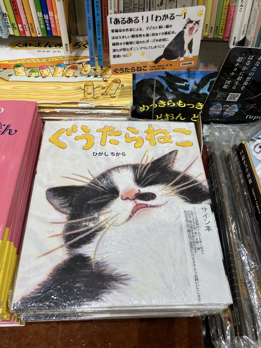 3F児童書】 『ぐうたらねこ』のサイン本が入荷しました。 ねこ好きには