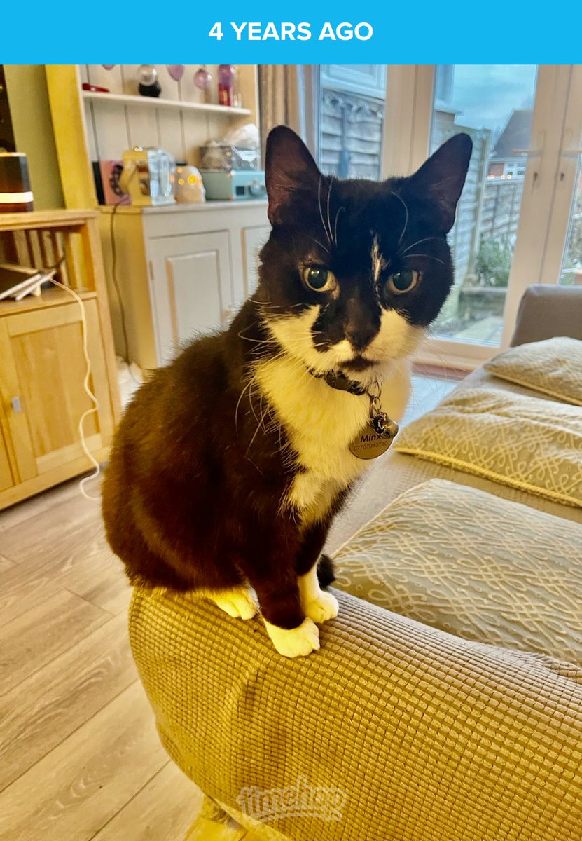 🖤🤍🖤🤍🖤🤍