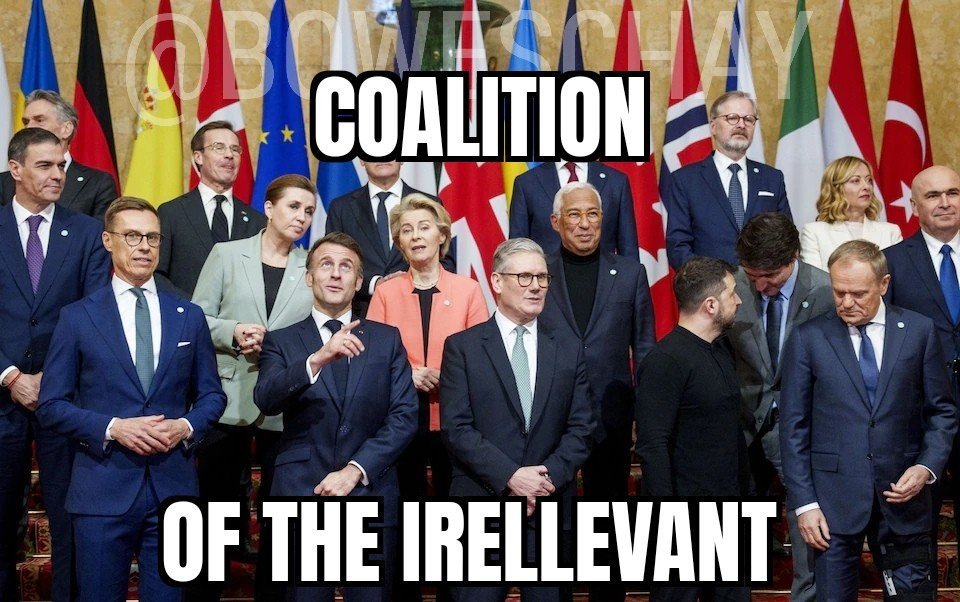 ave fenix tweet media