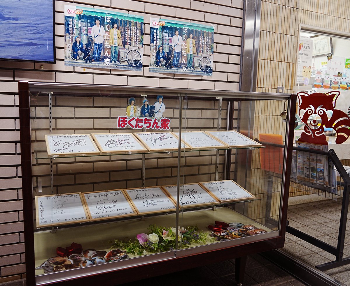 市川市動植物園（公式） tweet media